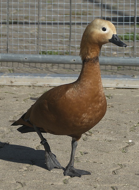 舞台上