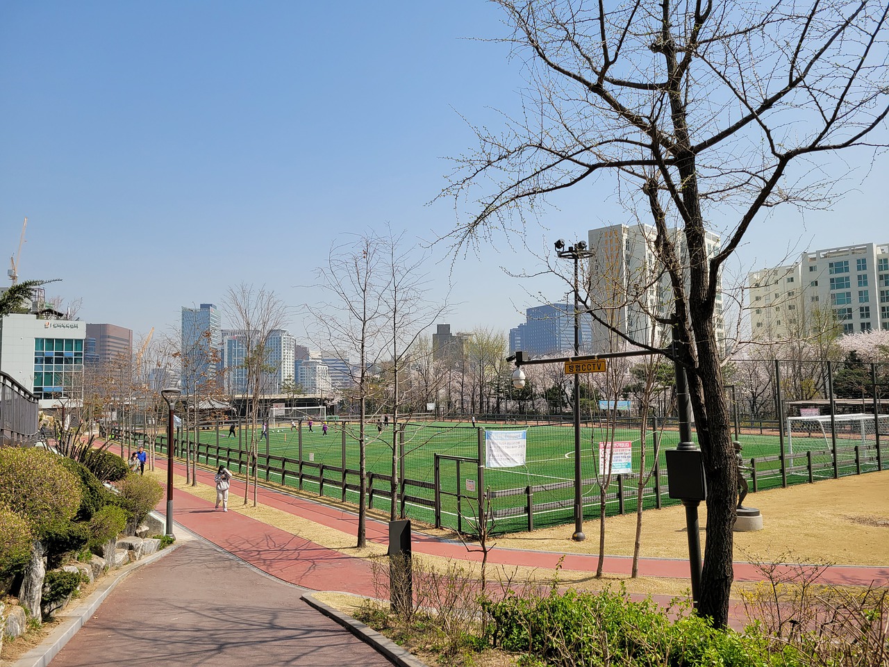 美展现了球 美展现了球