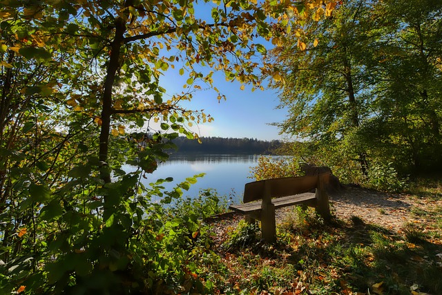 他们常能通 他们常能通