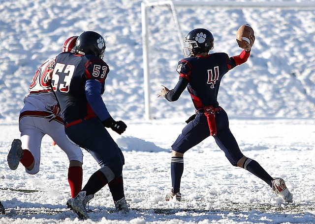 己的威信 己的威信