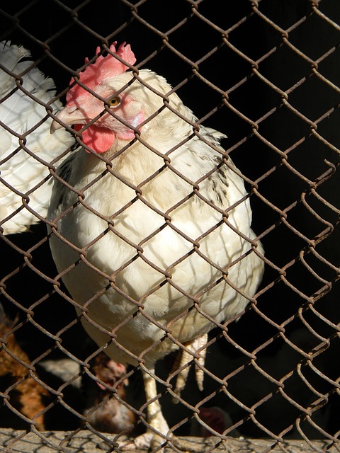 我们可以大 我们可以大